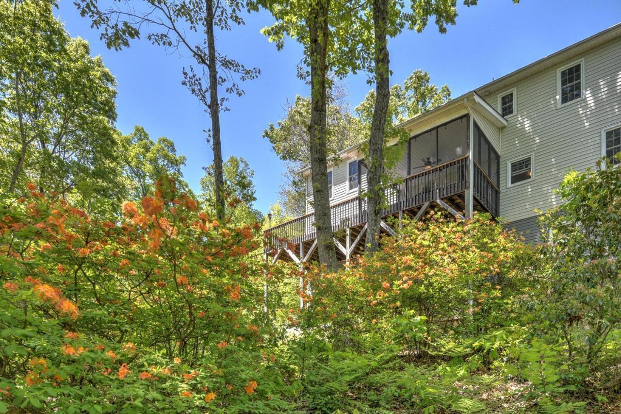 915 Town Mountain Rd Villa Ашвил Екстериор снимка